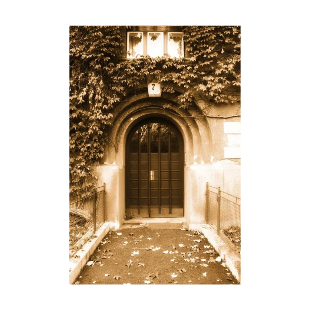 traditional arched wood entry door EH2041 MCD