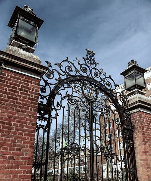 Ornate Gothic-inspired wrought iron gate with decorative arched scrollwork G144 MCD